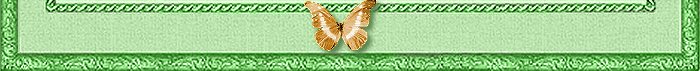 floral4bkbottom.jpg (21210 bytes)