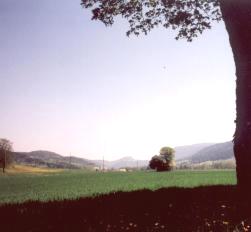 Fleurier