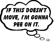 Scooter Basset Hound Saying