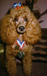 The Winner!