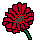 Gerbera Icon #1