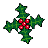 Holly Image