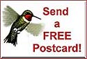 Send a Free Postcard