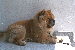 Click to see me in the gallery