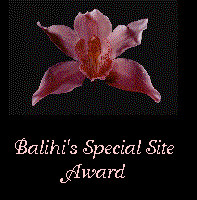 Lenora's Award