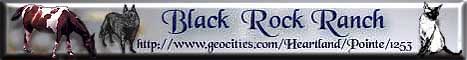 Our Banner