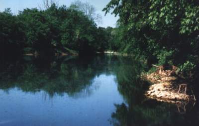 Our Wonderful Creek