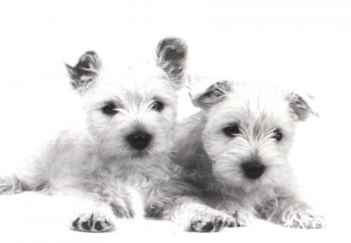 Two of our Cuties!