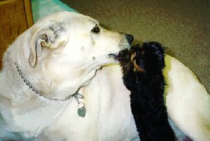 Kissing