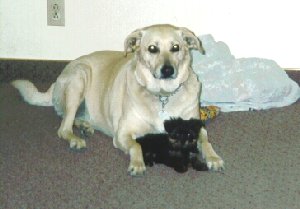 Sisters