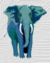 elephant.gif