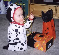 Tristan the Dalmation