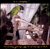 thumbnail of card #2