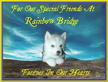Rainbow Bridge Tribute