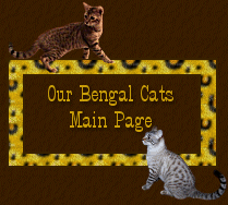 Our Bengal Cats Main Page