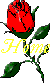 Homepage
