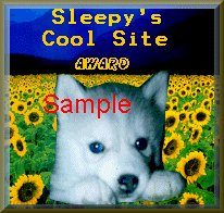 Cool Site Award