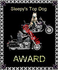 Top Dog Award