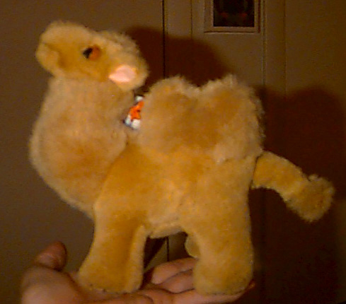 camel1.jpg