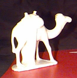 camel2.jpg