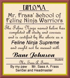 Diploma