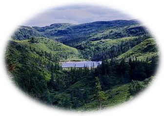 Gros Morne