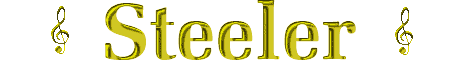 Steeler's banner