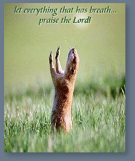 Praise The Lord!