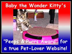 Baby's Award