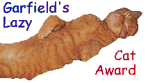 Garfield award