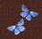 butterfly bullet