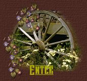 Enter