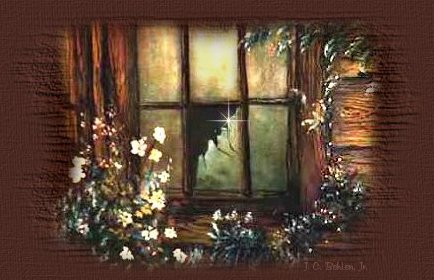 Broken Window