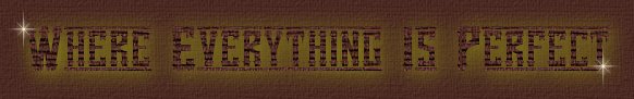 Where Everything Is Perfect