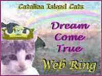 Catalina Island Cats DREAM COME TRUE Web Ring