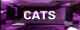 Info on Cats