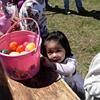 famfun037
