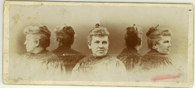 full head shot of comb