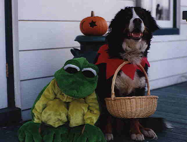 FROG