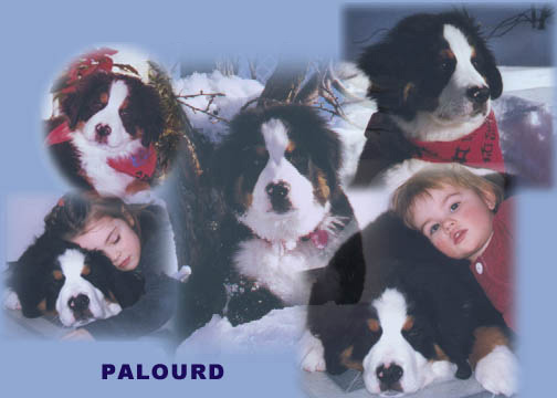 PALOURD