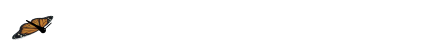 anibutterfly.gif