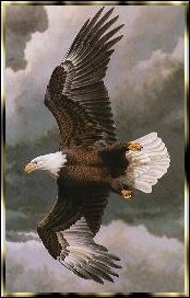 eagle2.jpg