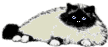 kitty.gif