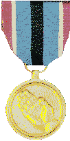 The Humanitarian Service Medal