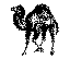 camel(1).gif from http://www.cli.di.unipi.it/iconbrowser