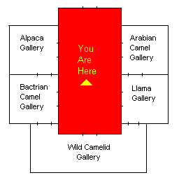 important image map