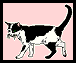BWcat.gif - 2.00 K