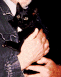 Emmi1.gif - 13.07 K