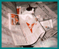 PandaPaper.gif - 23.13 K