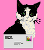 Pandamail.gif - 2.15 K